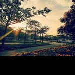 @williamwimmer - Instagram