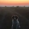 williamwimmergren - @williamwimmergren - TikTok