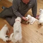 William Winfield - @william.winfield.524934 - Instagram