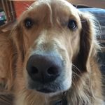William Winfield Wright - @williamwinfieldwright - Instagram