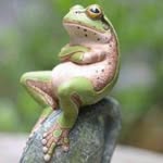 William Wire Jr - @williamwire1 - Instagram