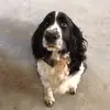 William Wise - @william.wisee - TikTok