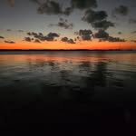 william woehler - @williamwoehler12 - Instagram