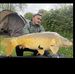 William Wojas - Facebook