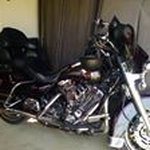 William Wooton - @williamwooton - Instagram