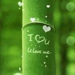 Mason William Workman - @mason1223 - Instagram
