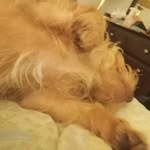 Christopher William Wurtz - @christopherwilliamwurtz - Instagram