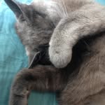William - @williamwurtz1234 - Instagram