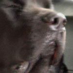 William Wyman - @wyman.william - Instagram
