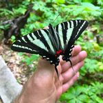 William Wyman - @diggin.in.the.dirt - Instagram