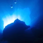 William Xue - @william.xuebin - Instagram