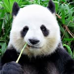 William Xue - @williamxue7 - Instagram