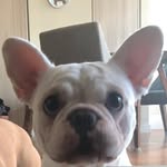 william yang - @willnback - Instagram
