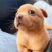 William Yang - Facebook