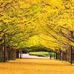 William Yang - Facebook