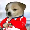 Chivas - @williamyardan - TikTok