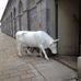 Plymouth Royal William Yard - Facebook