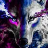 William Rymer - @williamrymer1 - TikTok