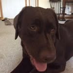 William Youse - @william_youse - Instagram