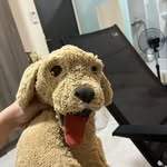 Williamyu｜Excelsior - @nhhllim - Instagram