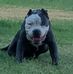 William Yuill - Facebook