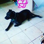 william yuill - @yuillw - Instagram