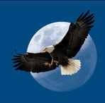 William Zanoni - Facebook