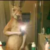 William Zavala - @william.zavala90 - TikTok