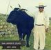 William Zea - Facebook