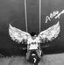 William Zea - Facebook