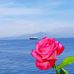Willy Zea - Facebook