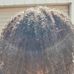 Zeello Willz - Facebook