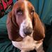 Bill Zwick - Facebook