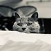 William Zwick - Facebook