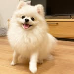Williams Brooks - @williamsbrooksbrooks - Instagram