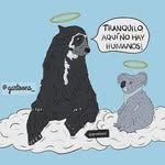 Williams Cabrera - @wcabre690 - Instagram