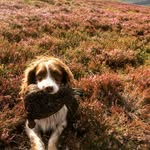 Douglas Williams - @williamsdouglas - Instagram