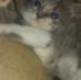 Willie Adkins - Facebook