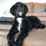 William Ansley - @willansley - Instagram