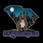 Willie Ashley - @803_limitless_bullys - Instagram