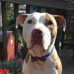 Willie H. Bacon - @willie_for_mayor - Instagram