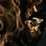 William Bauer - @willieb740 - Instagram