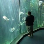 Willie Bester - @besterwillie - Instagram