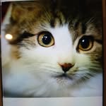 Willie Boone - @willie.boone.96558 - Instagram
