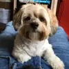 willieboone755 - @willieboone755 - TikTok