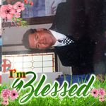 Boston Willie Pietrantonio - @bostonwilliepietrantonio - Instagram