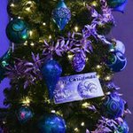 William Brady - @william.brady.12 - Instagram