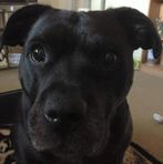 Willie Ucehausen Brady - Facebook