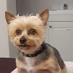 Willie Burger - @myboesman - Instagram