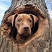 Willie Jacobus Burger - Facebook